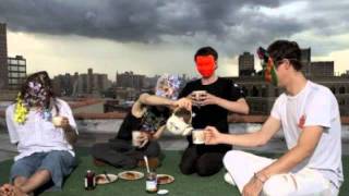 Animal Collective - Taste (2009 BBC session)