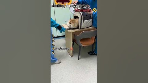 Ranking funny moments 🤣 part ♾️...... #shorts