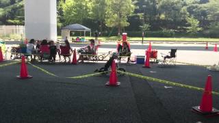 20150809 LAGP Izumisano 4歳ボーイズ予選第1ヒート TM