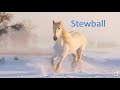 Hugues Aufray Stewball Paroles Hugues Aufray Stewball Paroles