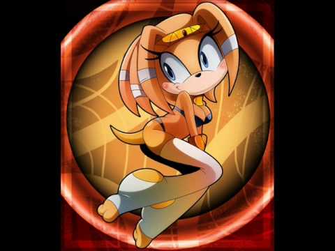Top Ten Hottest Female Sonic Characters by DizzyStarfie on Newgrounds