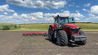 НОВЫЙ КУЛЬТИВАТОР В РАБОТЕ | КУЛЬТИВАЦИЯ НА MASSEY FERGUSON 8737S и К744