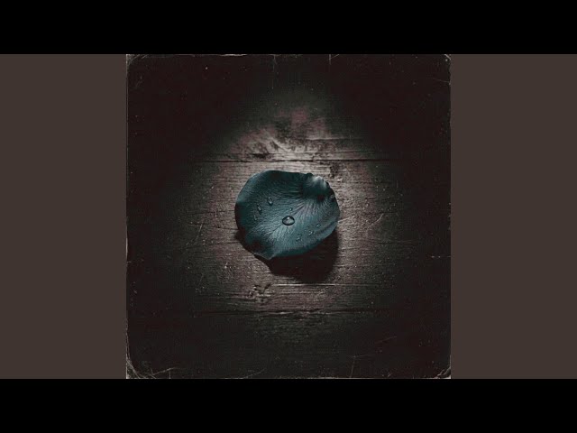 echoes of you