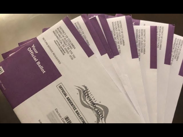 Mail-In Voter Fraud