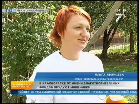 В КРАСНОЯРСКЕ СТАЛО БОЛЬШЕ ЛЖЕВОЛОНТЕРОВ-20-08-2015