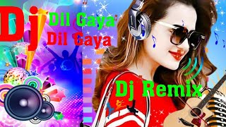 Dil Gaya Dil Gaya Mera Dil💓Dj Remix💘 Old Hindi Dj Song#Dj Love#