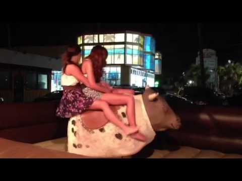 Two Girls and a Bull