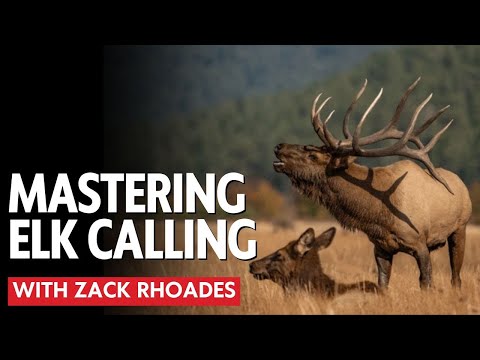 American Bowhunter: The art and strategy of communicating with bull elk
