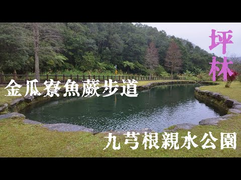 享受山林靜謐時光∥坪林九芎根親水公園＆金瓜寮魚蕨步道