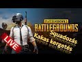 PUBG - Squadozás, kis szórakozás TECCESZ! :)