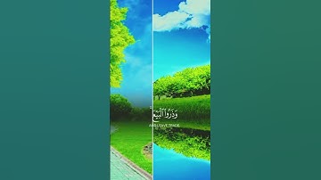 اللهم اجعل القرآن الكريم ربيع قلوبنا #duet #القرآن_الكريم #لايك #اكسبلورفولو