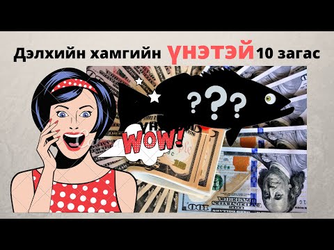 Видео: Хамгийн үзэсгэлэнтэй аквариумын загас юу вэ?