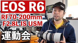 【カメラ】運動会でEOS R6とRF70-200mmF2.8の組み合わせ！使ってみて今までとの違い！