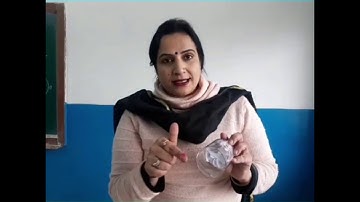 Class 2  EVS  Chapter 19