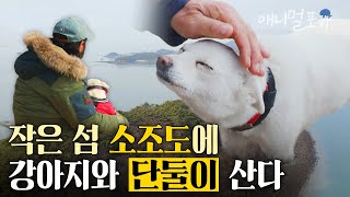 개 키우기 싫다던 아저씨가.. 개와 단둘이 작은 섬에 살게 됐다?! 이젠 바다 없인 못 산다는 털보 아저씨  | KBS 동물극장 단짝 230408 방송