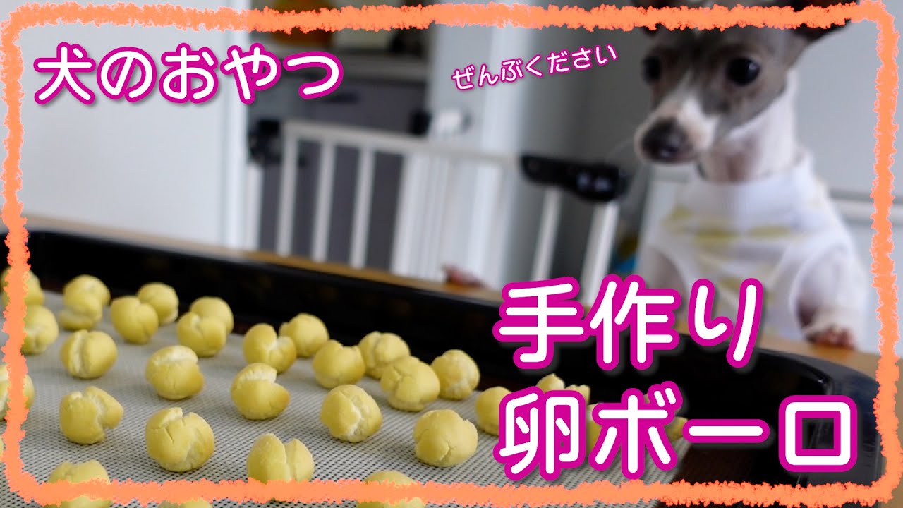 犬のおやつ 超簡単 犬おやつ手作りレシピ 手作り卵ボーロの作り方 イタグレ Youtube