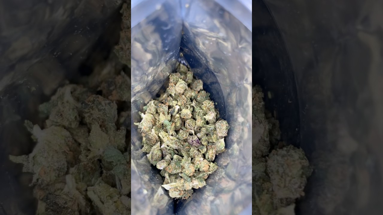 Tom Ford #hempcommunity #weedcommunity #youtube #thcareview