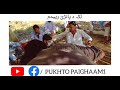 Pa muhabbat ke ranzedam pashto song