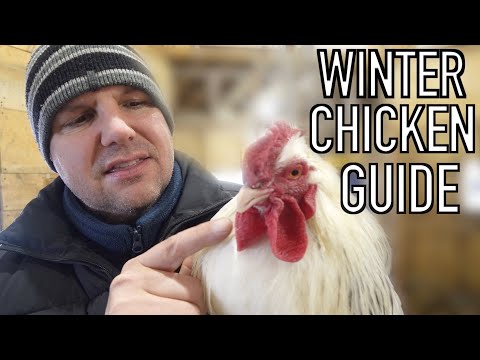 Video: Come Winterize a Chicken Coop