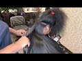 She hasn’t been to a salon in years so we gave her the works| Using zinc on gray hair