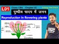 01 पुष्पीय पादप में जनन || Reproduction in flowering plants