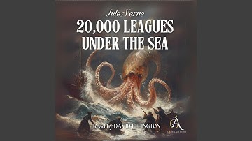 Chapter 37 - Twenty Thousand Leagues Under the Sea - Audiobook