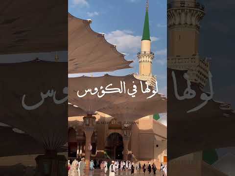  قبل خمر الدنان