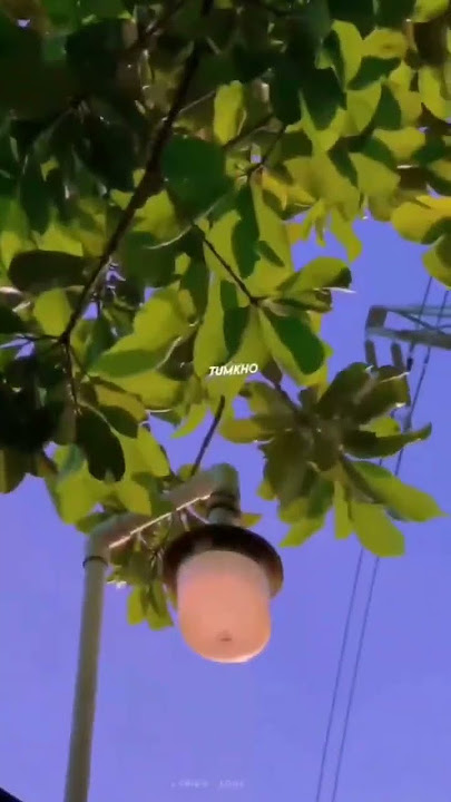 Dakha jas sa tum ko