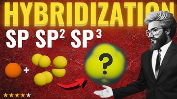 What Is Hybridization and Why Does It Matter?