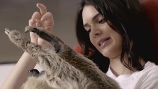 Celebrity Kendall Jenner Takes Selfies With Sloths & Tries 9 New Things Net Worth