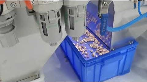 Color sorter for pistachios nuts sorting