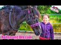 Auf dem Reiterhof | Dressur mit Pferd | Clarielle