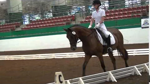 Jean Tuttle at Labor of Love Dressage 2014 - Sun