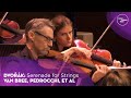 Capture de la vidéo Dvořák: Serenade For Strings | Van Bree, Pedrocchi, Et Al | Violin Concert Tivolivredenburg (2022)