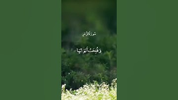 قرآن كريم بصوت القارئ: عبدالباسط عبدالصمد 💚 أجمل حالات واتس اب دينية تلاوة هادئة تريح النفس ارح سمعك