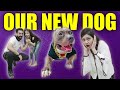 New Dog for my Daughter Guneet | Comedy Family Video | Harpreet SDC