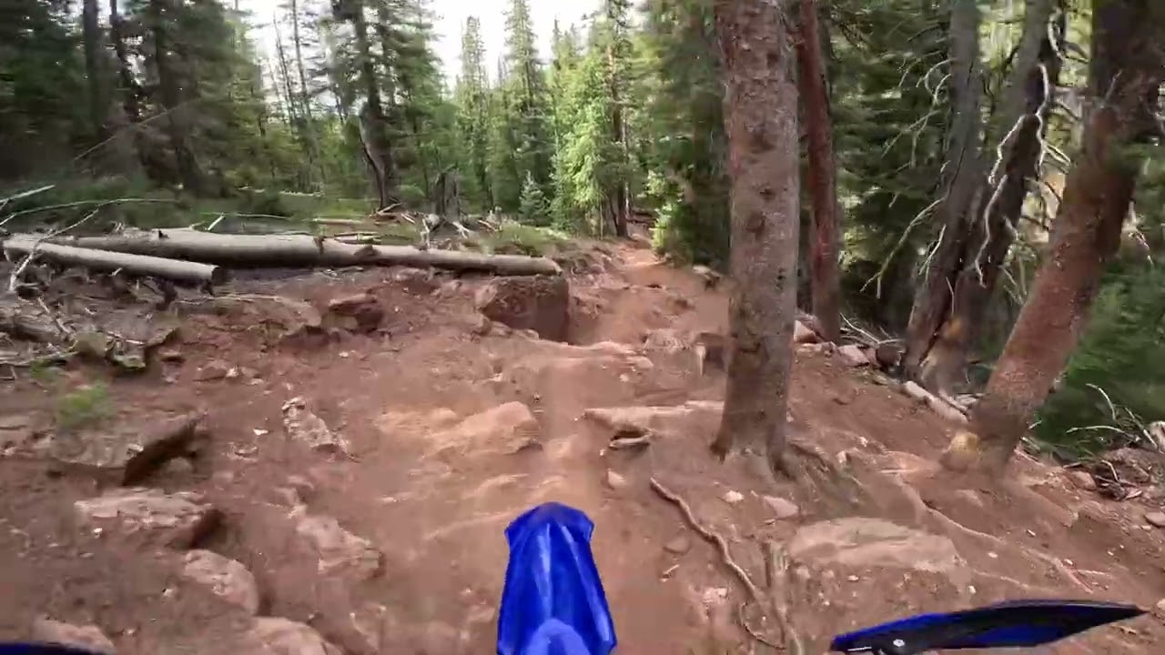 Bear Creek