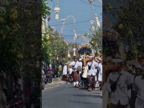Vídeo: Principais Festivais de Bali & Celebrações