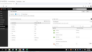Informatica MDM 10.4 - Bulk Data upload with Artificial Intelligence