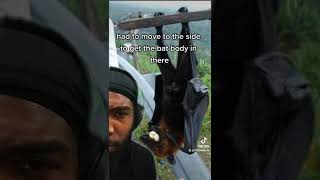 Meanwhile On Why Is He Chilling With This