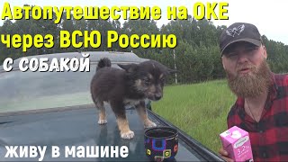 Собака, Я и ОКА через всю Россию. Жизнь в машине. бомжТур Урал-Алтай-Монголия-Бурятия 20000км