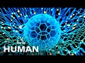 Video Tutorial Quiz