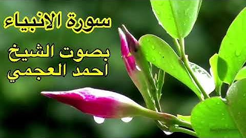 سورة الانبياء كاملة بدون اعلانات بصوت الشيخ احمد العجمي