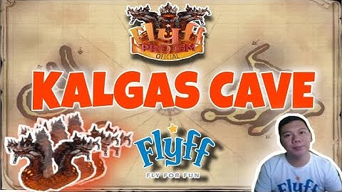 FLYFF PRO GM | KALGAS CAVE WITH MAP GUIDE