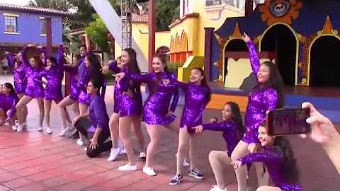Knott's Berry 2019  Perf FB
