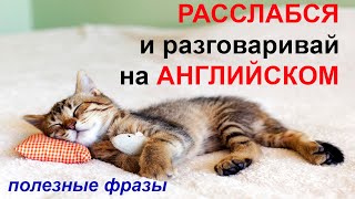 💓Разговорный Английский Для Начинающих. Английские Фразы На Каждый День.