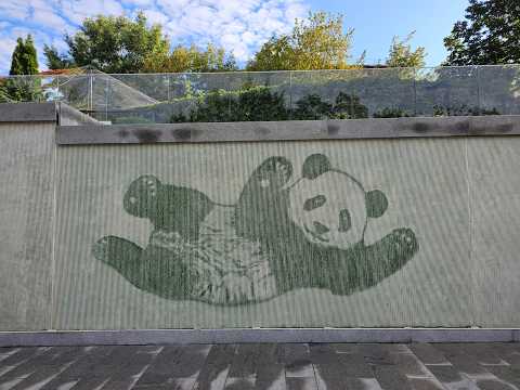 旅俄大熊猫喀秋莎3岁生日会