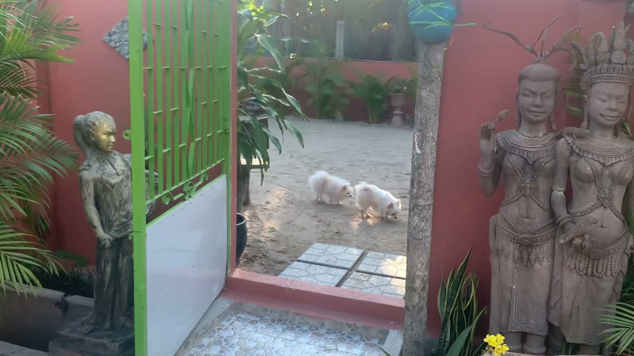 2021.12.15 : Les maisons Amis de khuontour à Phnom Penh au Cambodge