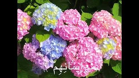 هُوَ الَّذِي أَنزَلَ السَّكِينَةَ فِي قُلُوبِ الْمُؤْمِنِينَ لِيَزْدَادُوا إِيمَانًا،قران كريم🤍