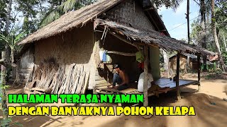 Rindang Pohon Nyiur Dan Angin Sepoi Sepoi, Membuat Halaman Rumah Terasa Lebih Betah Nyaman.